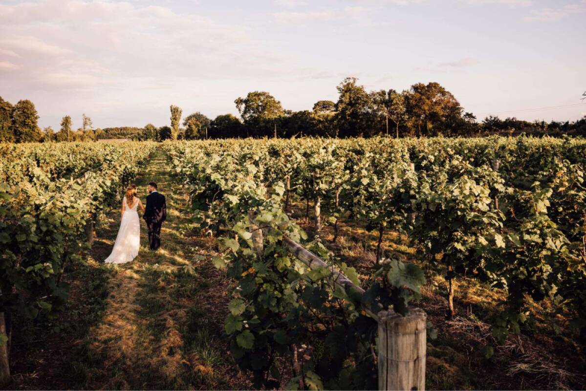 Stanlake Park Vineyard