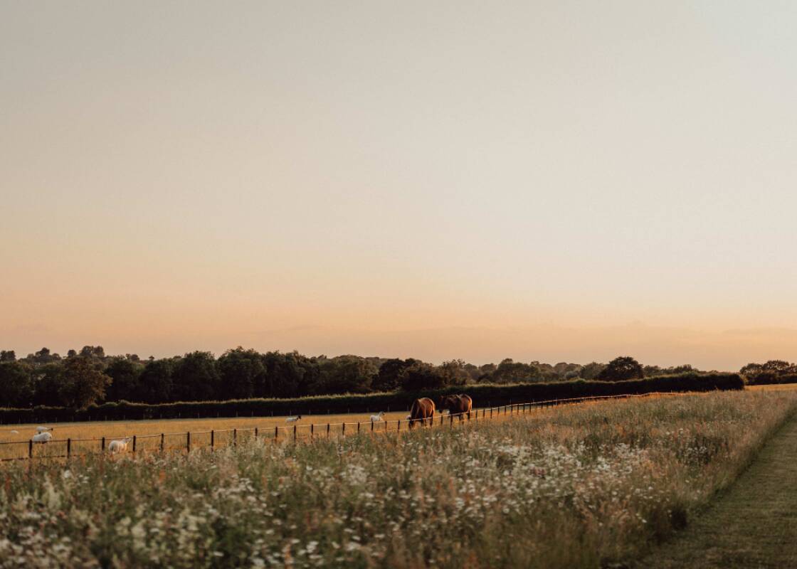 Crockwell Farm